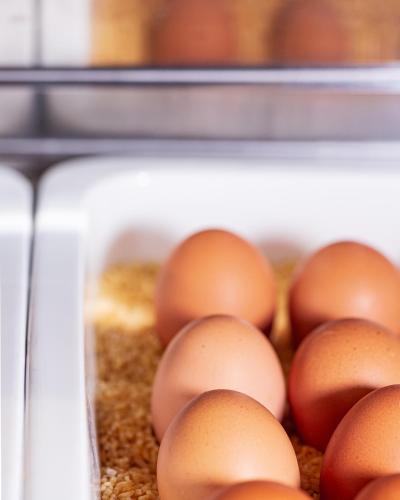 a container of eggs sitting on top of oats at Altstadt Hotel Hofwirt Salzburg in Salzburg