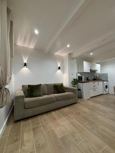un salon avec un canapé et une cuisine dans l'établissement Appartement cosy centre historique Avignon, à Avignon