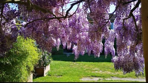 Κήπος έξω από το la Ferme du Grand Bois