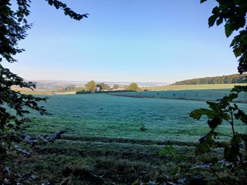 a large green field with trees in the distance at Hof Sorgenfrei in Buch