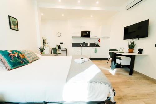 a bedroom with a bed and a desk and a television at Maison Salvia in Rome