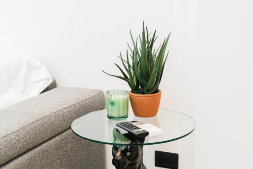 a glass coffee table with a remote control and a plant at Maison Salvia in Rome