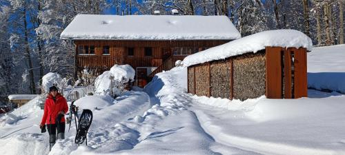 a woman standing in the snow in front of a cabin at Ferienhaus-Bregenzerwald in Bizau