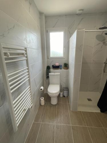 une petite salle de bain avec toilettes et douche dans l'établissement Gite De La Fontaine Avec Jaccuzi, à Septfonds