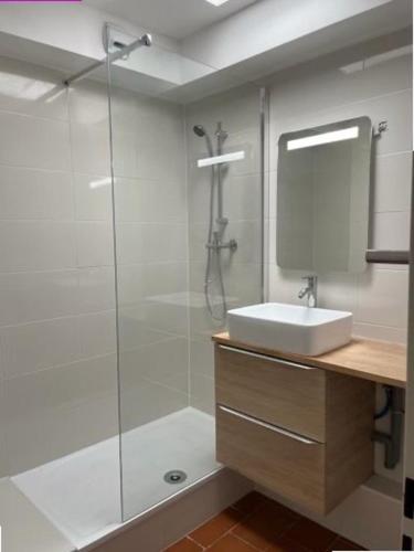 une salle de bain avec douche et lavabo dans l'établissement AS21543 - P2 double cabine avec double terrasse vue mer et parking privé, au Grau-du-Roi
