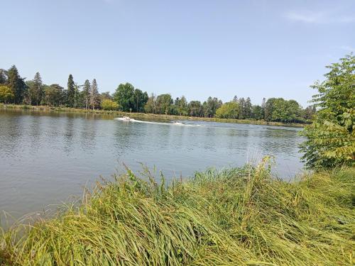 a lake with a boat in the water at NOUVEAUTE Maison Cocooning avec jardin, Terrasse couverte et Jacuzzi in Bellerive-sur-Allier