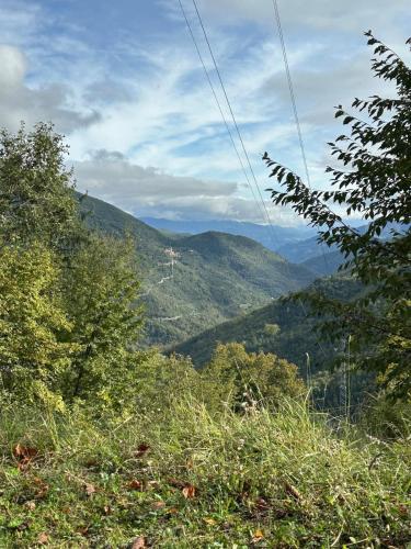 a view of a valley with trees and mountains at Rifugio di Rezzo in Rezzo