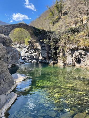 an old stone bridge over a river at Rifugio di Rezzo in Rezzo