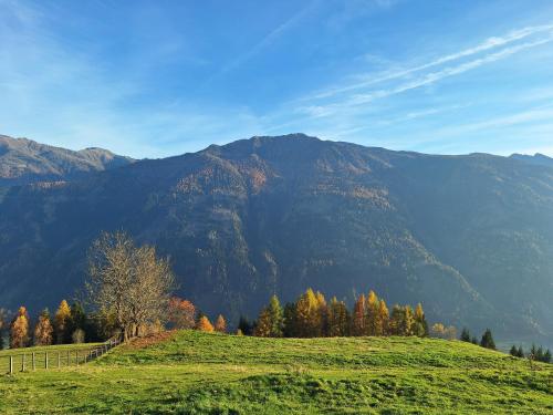 a green field with a mountain in the background at Adlerhütte in Stall