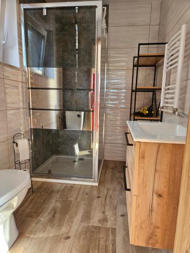 Un baño con ducha, inodoro y lavabo. en Mały Domek, en Stara Kamienica