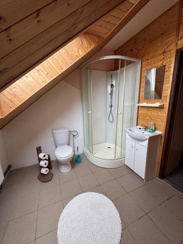 a bathroom with a shower and a toilet and a sink at Penzion Na Majlantě in Miřetice