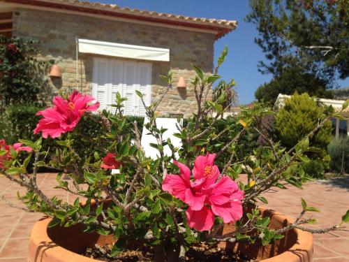 Zahrada ubytování Finca Klara, Boutiquehotel - Apartment -Javea-Moraira-