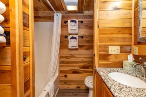 a bathroom with a toilet and a sink at Port of Kimberling Resort & Campground in Kimberling City