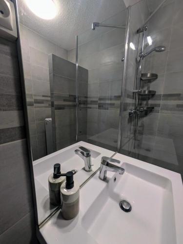 La salle de bains est pourvue d'un lavabo, d'un miroir et d'une douche. dans l'établissement Studio Central 2 pers proche Geneva, à Saint-Julien-en-Genevois