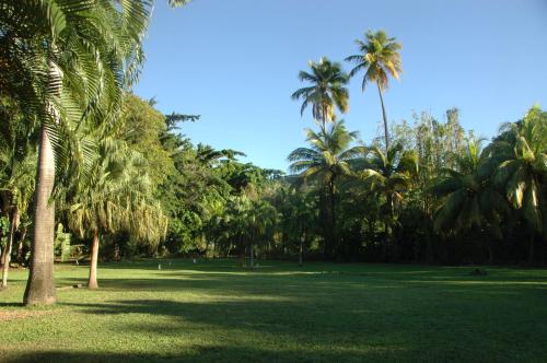 a park with palm trees and a field of grass at Insolite Ara Wakan / Ma cabane in Pointe-Noire