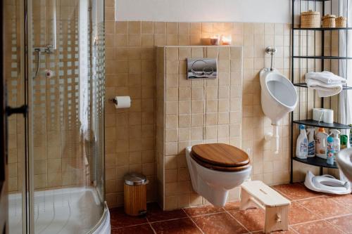 a bathroom with a toilet and a sink and a shower at Chata Hana Donovaly in Donovaly
