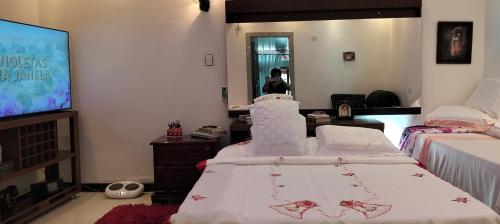 a bedroom with two beds and a flat screen tv at Espaço TOP São Paulo - Brazil in Sao Paulo