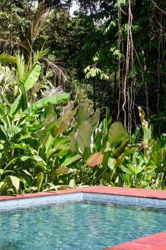 a swimming pool in front of a garden with plants at Rainbow Lodge Costa Rica in Savegre