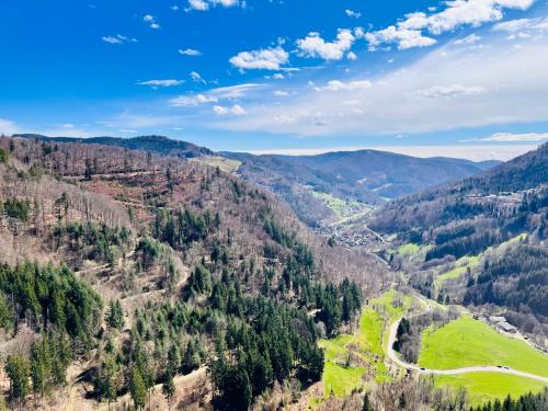 a view of a valley in the mountains at 2-Zimmerapartment an der Schweizer Grenze in Albbruck