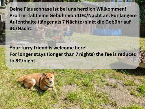 a dog sitting in the grass next to a sign at H4 - Urlaubsmagie - Kleiner Wohlfühlort mit Pool in Sebnitz
