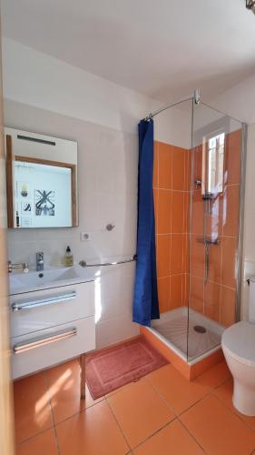 une salle de bain avec une douche, un lavabo et des toilettes dans l'établissement T3 Independant de 62 m2 au coeur du village, à Saint-Georges-dʼOrques