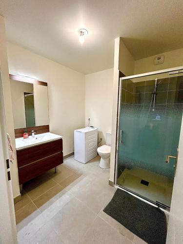 une salle de bain avec une douche, un lavabo et des toilettes dans l'établissement Appartement au bord de la plage et de la foret, à Mimizan-Plage