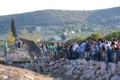 a crowd of people watching a giraffe at a zoo at Superb Athens Airport Residence, Unique View in Spáta