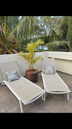 two white chairs sitting next to a potted plant at sea beach pool in Bain Boeuf