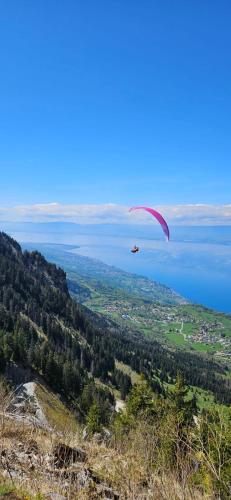 un parapente volant dans le ciel au-dessus de l'eau dans l'établissement STUDIO pour 4 PERSONNES à THOLLON LES MÉMISES, à Thollon-les-Mémises