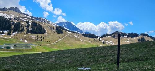 une colline herbeuse avec vue sur une montagne dans l'établissement STUDIO pour 4 PERSONNES à THOLLON LES MÉMISES, à Thollon-les-Mémises