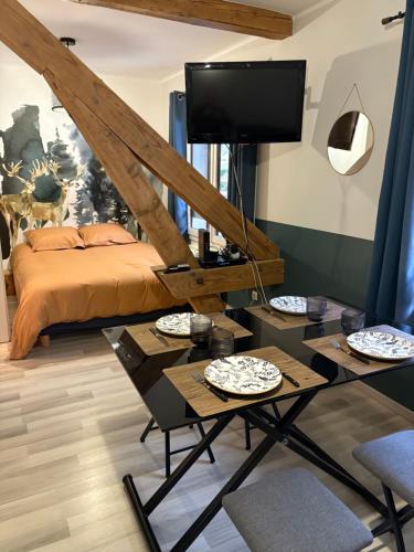 a living room with a tv and a bed at Entre lac et montagne 2 in Sévrier