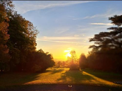 a sunset on a road with a tree in the distance at GITE LA BELLE St FLI in Saint-Félix
