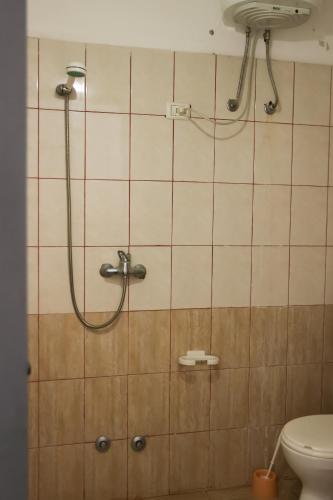 a shower in a bathroom with a toilet at Haka Guesthouse in Golem