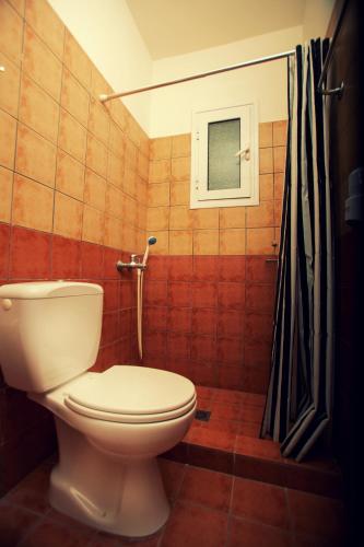 a bathroom with a toilet and a shower at Sunshine Resort in Lassi