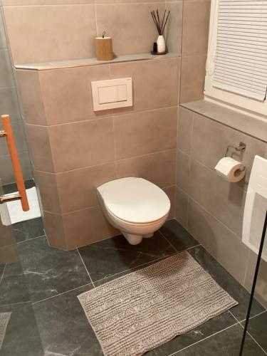 a bathroom with a toilet and a tile wall at Apartmány Ořechovka Wellness in Turnov