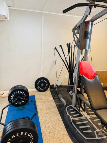Fitness centrum a/nebo fitness zařízení v ubytování Golden Hill Oasis