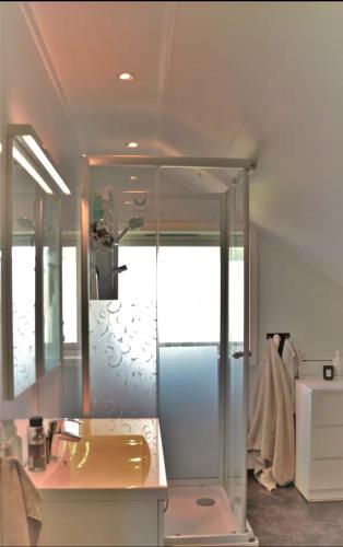 a bathroom with a sink and a mirror at Leilighet i Stamsund, Lofoten in Rishaugen