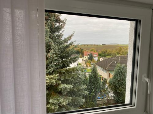 a window with a christmas tree in a room at Koblenzer Naturhaus & Apartments in Koblenz