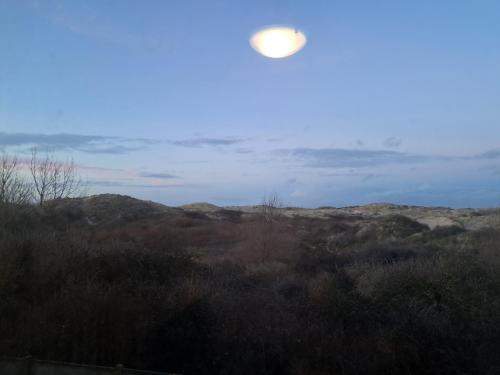 Appartement 1 chambre face aux dunes