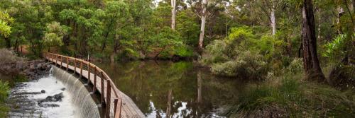 a wooden bridge over a river in a forest at Margarets Forest in Margaret River Town