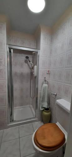 a bathroom with a shower and a toilet with a wooden seat at Marshill Farmhouse in Blackwood