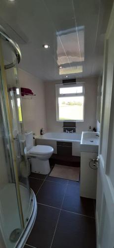 a bathroom with a toilet and a sink at Marshill Farmhouse in Blackwood