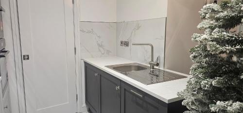 bagno con lavandino e albero di Natale di Abi's World - 23 Kilmartin Grove Green, Hollystown, Dublin 15 a Dublino