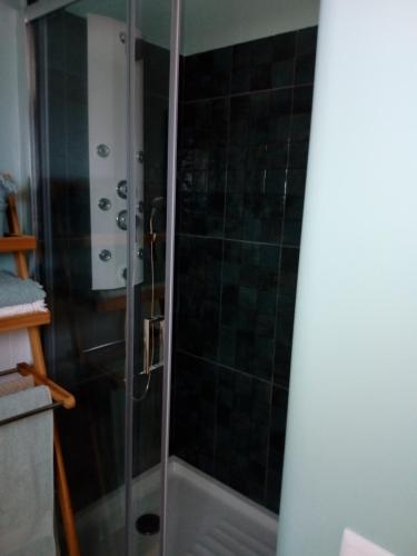 a shower with a glass door in a bathroom at A pequena casa azul in Senhora das Febres