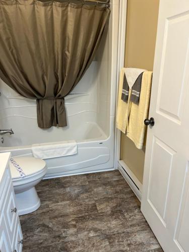 a bathroom with a shower curtain and a toilet at Riverview Suites in Clarenville