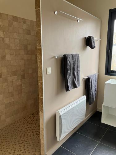 La salle de bains est pourvue d'une douche, d'un lavabo et de serviettes. dans l'établissement LA Maison du Pressoir, à Les Noyers