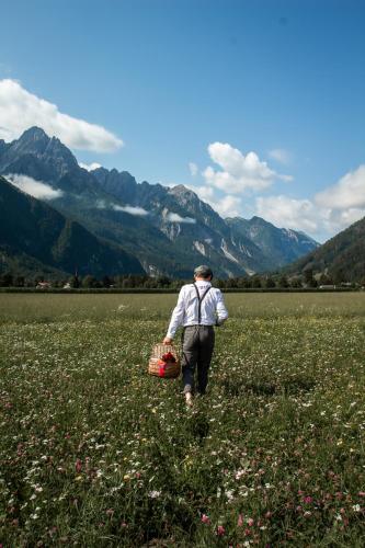 a man walking through a field of flowers at Haus Sonnengarten-Lienz in Lienz