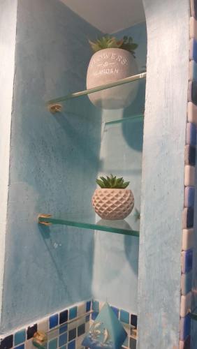 a glass table with two shelves with a pineapple on it at Alloggio turistico Giulia in Albano Laziale