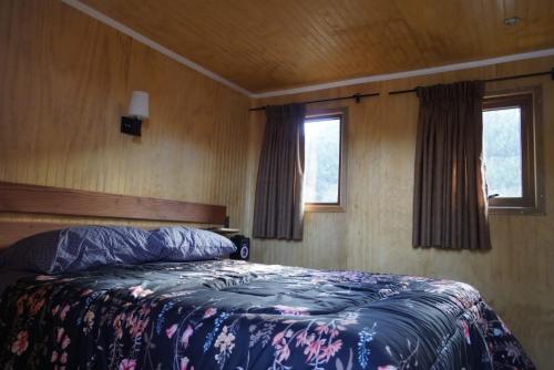 库拉考廷Centro turístico malalcahuello ltda的带一张床和两扇窗户的卧室