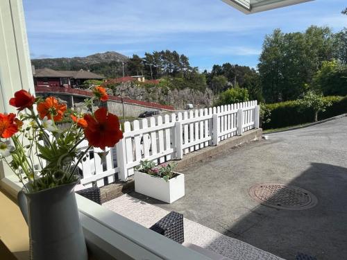 Balkón nebo terasa v ubytování Cozy studio near Bergen